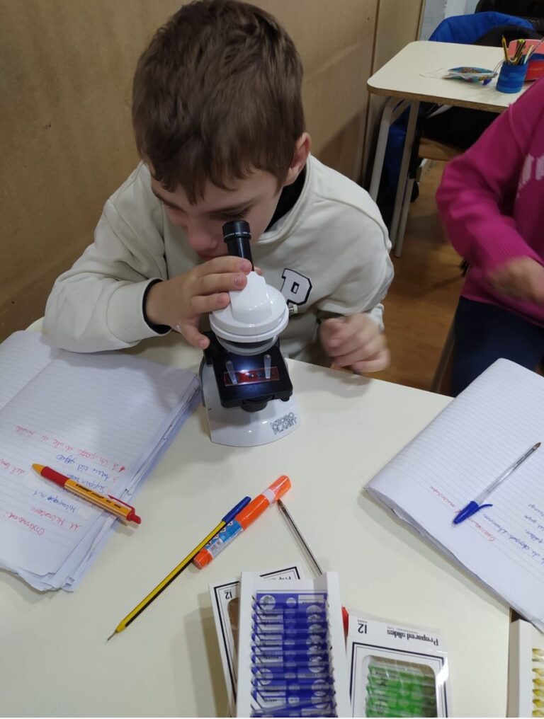 Settimana dello studente Dicembre 2025 – Centro Studi Paritario Nobel Montalcini, foto 1